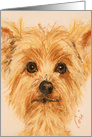 Terrier Dog Fine Art Blank Any Occasion card