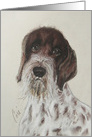 German Wirehaired Pointer, Dog Fine Art Thinking of You card