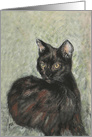 Black Cat Fine Art Blank Any Occasion card