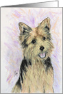 Norwich Terrier Dog Fine Art Blank Any Occasion card