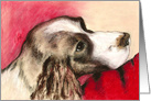 Springer Spaniel Dog Fine Art Blank Any Occasion card