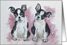 Boston Terrier Puppies Dog Art Fine Art Thinking of You card