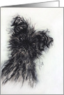 Affenpinscher Dog Fine Art Blank Any Occasion card