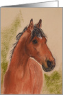 Bay Horse Fine Art Thinking of You card