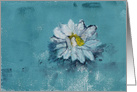 Lotus Flower Fine Art Thinking of You card