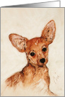 Chihuahua Dog Fine Art Happy Thanksgiving card