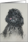 Black Toy Poodle Dog Fine Art Thinking of You card