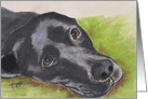 Black Labrador Retriever Fine Art Thinking of You card