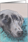 Weimaraner Dog Fine Art Blank Any Occasion card