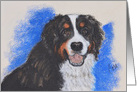Bernese Mountain Dog Fine Art Thinking of You card