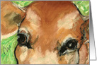 Cow Farm Animal Fine Art Blank Any Occasion card