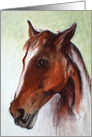 Bay Horse Fine Art Blank Any Occasion card