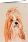 Tibetan Terrier Fine Art Thinking of you card