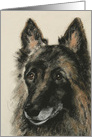 Belgian Tervuren Fine Art Thinking of you card