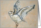 Western Snowy Plover Bird Fine Art Blank any occasion card