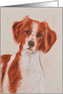 Brittany Dog Fine Art Thinking of you card