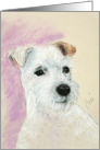 Rough Coat Jack Russell Terrier Fine Art Thinking of you card