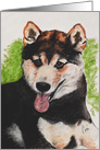 Shiba Inu Fine Art Thinking of you card