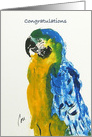 Parrot Fine Art Congratulations on Rescue Parrot card