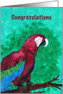 Parrot Fine Art Congratulations on Rescue Parrot card