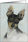 Tri-Colored Toy Fox Terrier Fine Art Blank any occassion card