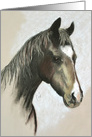 Black Horse Fine Art Blank Any Occasion card