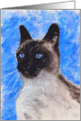 Seal Point Siamese Cat Fine Art Blank any occasion card