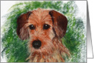 Wire Haired Dachshund Dog Art Fine Art Thinking of you card