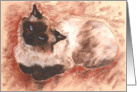 Ragdoll Cat Siamese Cat Fine Art Blank Any Occasion card