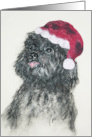 Black Toy Poodle Fine Art Christmas Happy Holidays card