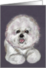 Bichon Frise Dog Art Fine Art Blank Any Occasion card