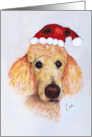 Standard Poodle Dog Christmas Holiday Fine Art card