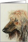 Afghan Hound Dog Fine Art Blank any Occasion card