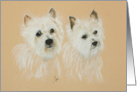 West Highland Terrier Westie Dog Fine Art Blank any Occasion card