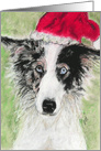 Santa Blues Border Collie Christmas card