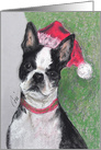 Boston Terrier Christmas Holiday card