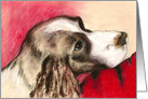 Jourdan Springer Spaniel Dog Friendship card