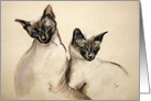 Sibling Love Siamese Cats Kittens Valentine card