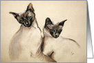 Sibling Love Siamese Cats Kittens Friendship card