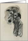 Luck of the Irish Irish Wolfhound Hound Get Well card