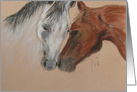 Happy Anniversary Two Arabian Horses Head To Head Equine card