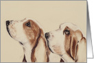 Get Well Two Basset Hound Dogs card