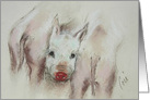 Stuck In The Middle Pigs Animals Fine Art Blank Any Occasion card