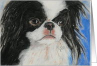 Japanese Chin Dog Fine Art Thinking of You card