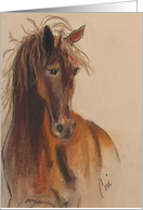 Bay Horse Art Friendship card