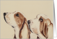 Basset Hound Art Thinking of You card