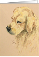 Golden Retriever Dog Art Thinking of You card