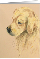 Golden Retriever Dog Art Blank Any Occasion card