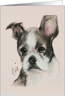 Boston Terrierr Puppy Dog Art Blank Any Occasion card