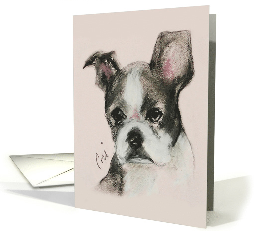 Boston Terrier Puppy Dog Art Thinking of You card (1142076)